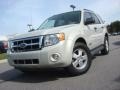 2008 Light Sage Metallic Ford Escape XLT V6  photo #1