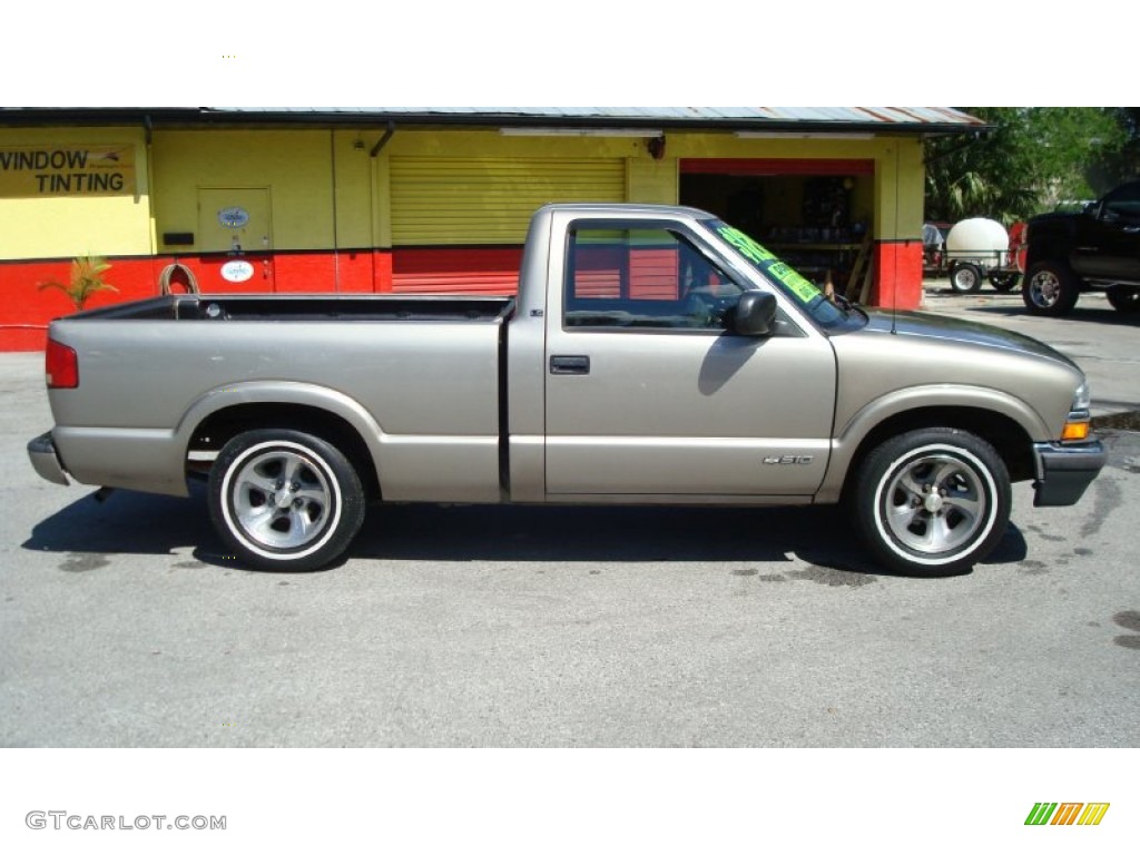 1998 S10 LS Regular Cab - Pewter Metallic / Graphite photo #2