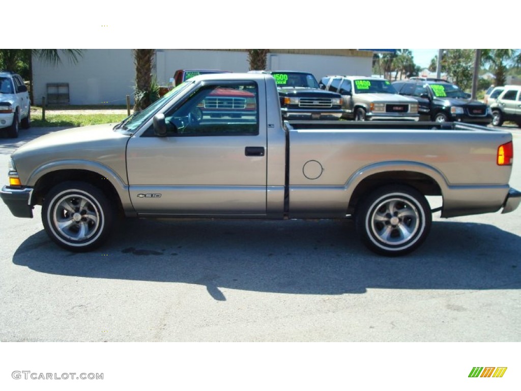 1998 S10 LS Regular Cab - Pewter Metallic / Graphite photo #6