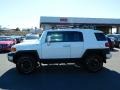 Iceberg White - FJ Cruiser 4WD Photo No. 6