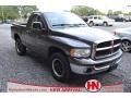Graphite Metallic 2003 Dodge Ram 1500 SLT Regular Cab 4x4