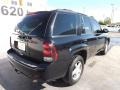 2008 Black Chevrolet TrailBlazer LT  photo #7