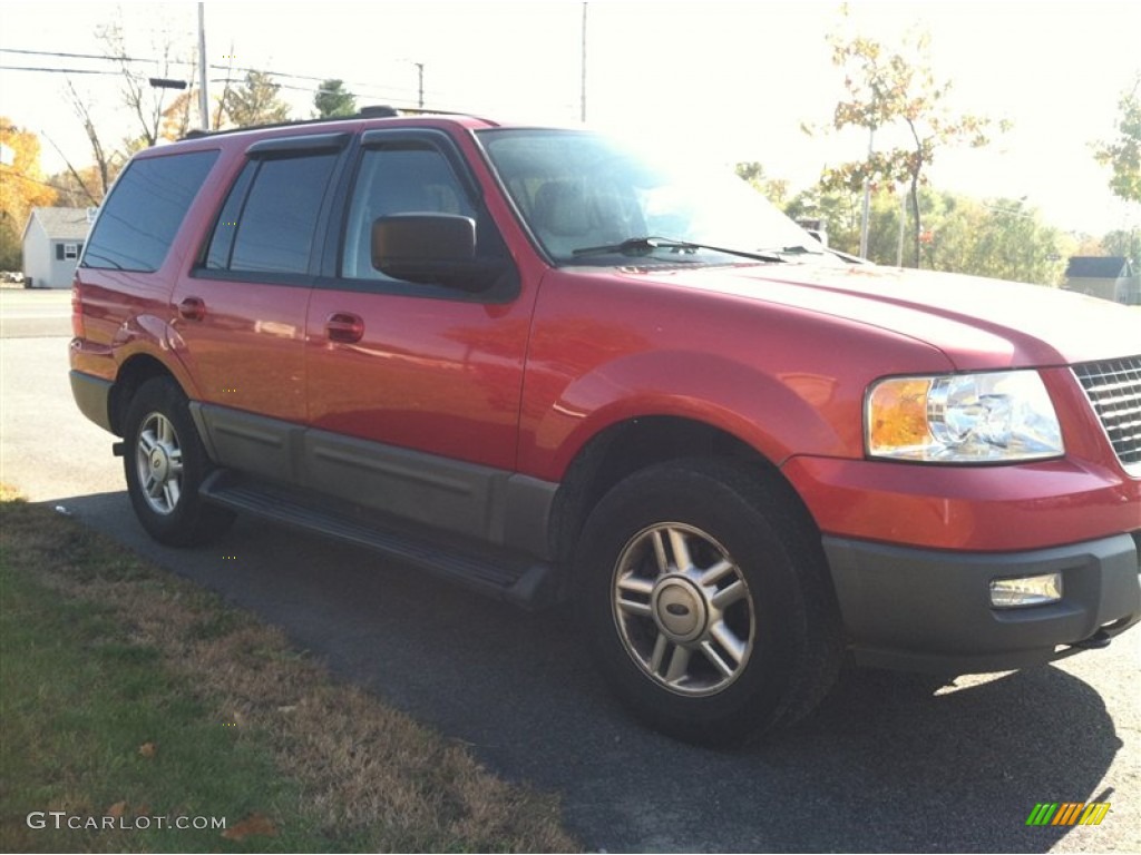 2003 Expedition XLT 4x4 - Laser Red Tinted Metallic / Flint Grey photo #4