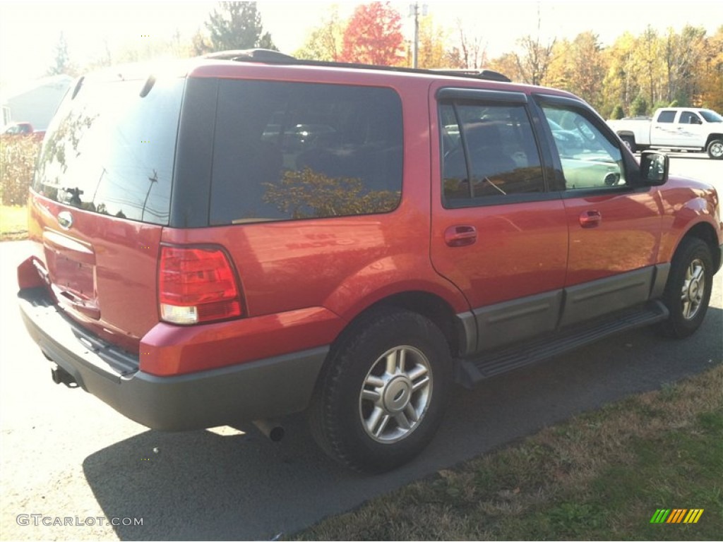 2003 Expedition XLT 4x4 - Laser Red Tinted Metallic / Flint Grey photo #5