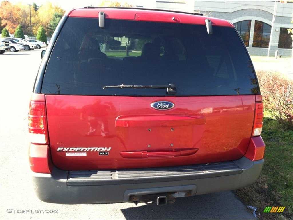 2003 Expedition XLT 4x4 - Laser Red Tinted Metallic / Flint Grey photo #6