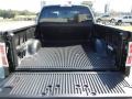 Steel Gray Trunk Photo for 2013 Ford F150 #72453122