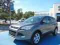 2013 Sterling Gray Metallic Ford Escape SEL 2.0L EcoBoost  photo #1