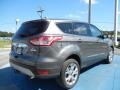 2013 Sterling Gray Metallic Ford Escape SEL 2.0L EcoBoost  photo #3
