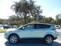 2013 Frosted Glass Metallic Ford Escape SEL 2.0L EcoBoost  photo #2