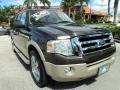 Stone Green Metallic 2008 Ford Expedition EL Eddie Bauer