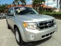 Ingot Silver Metallic - Escape XLT Photo No. 1