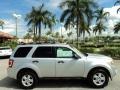 Ingot Silver Metallic - Escape XLT Photo No. 5