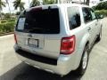 Ingot Silver Metallic - Escape XLT Photo No. 6
