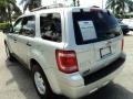 Ingot Silver Metallic - Escape XLT Photo No. 9