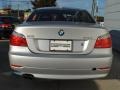 2010 Titanium Silver Metallic BMW 5 Series 528i xDrive Sedan  photo #5