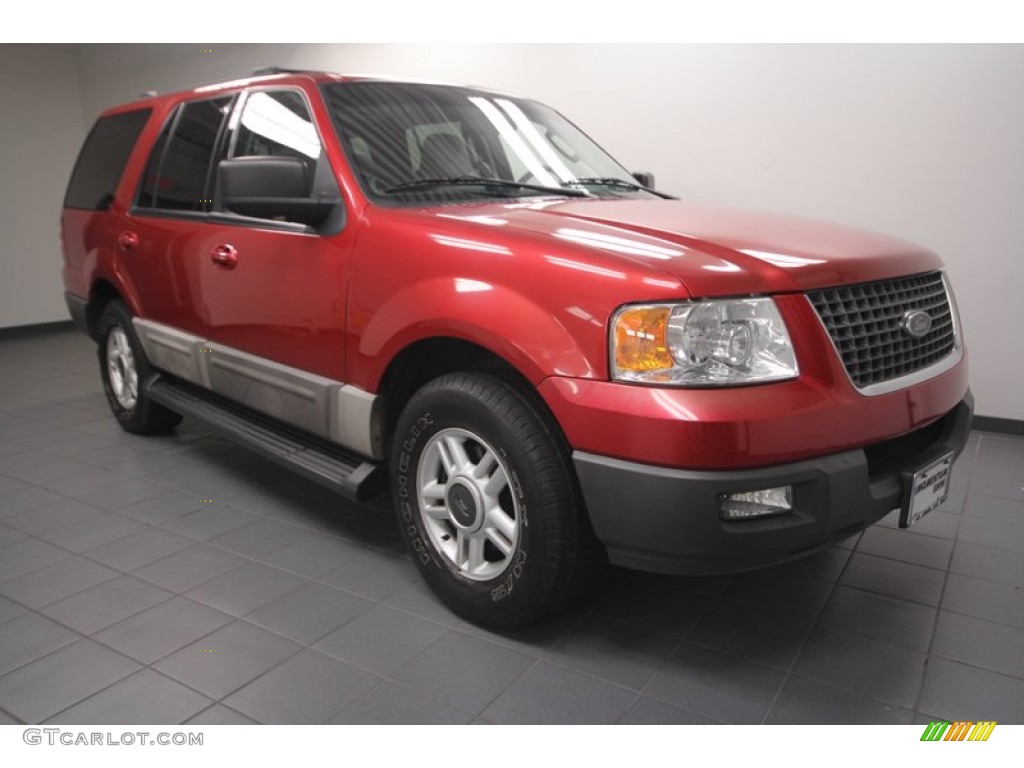 2003 Expedition XLT - Laser Red Tinted Metallic / Flint Grey photo #1