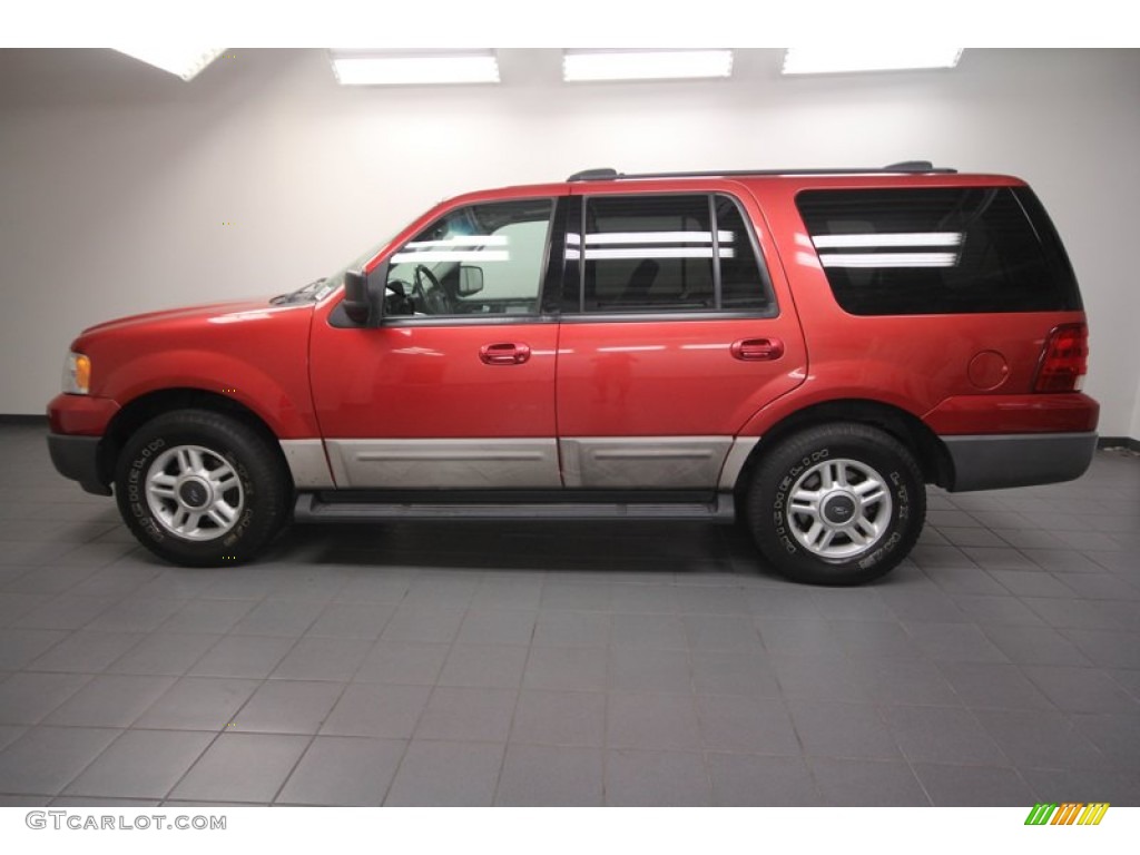 2003 Expedition XLT - Laser Red Tinted Metallic / Flint Grey photo #2