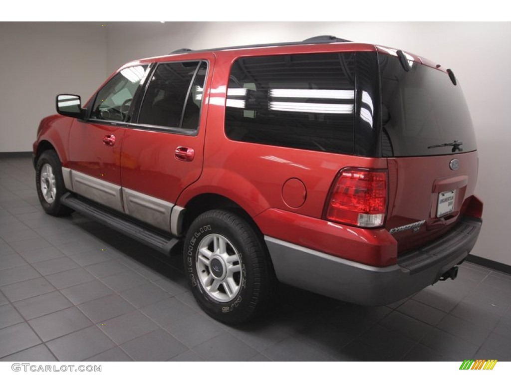 2003 Expedition XLT - Laser Red Tinted Metallic / Flint Grey photo #5