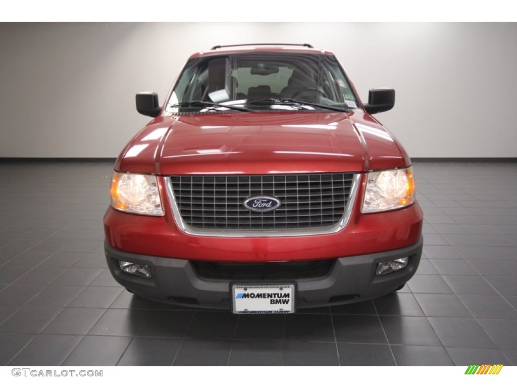 2003 Expedition XLT - Laser Red Tinted Metallic / Flint Grey photo #6
