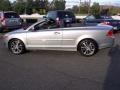 Electric Silver Metallic - C70 T5 Photo No. 6