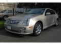 Gold Mist 2007 Cadillac STS 4 V6 AWD