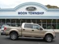 2012 Pale Adobe Metallic Ford F150 XLT SuperCrew 4x4  photo #1