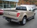 Pale Adobe Metallic - F150 Lariat SuperCrew 4x4 Photo No. 8