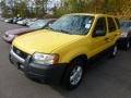 2003 Chrome Yellow Metallic Ford Escape XLT V6  photo #4