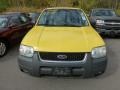 2003 Chrome Yellow Metallic Ford Escape XLT V6  photo #5