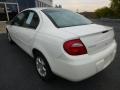 Stone White - Neon SXT Photo No. 4