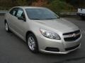 Champagne Silver Metallic - Malibu LS Photo No. 2