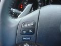 2008 Smoky Granite Mica Lexus IS 250 AWD  photo #21