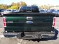 2013 Green Gem Metallic Ford F150 XLT SuperCrew 4x4  photo #3