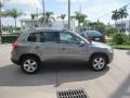 Alpine Grey Metallic - Tiguan Wolfsburg Edition Photo No. 6