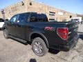 Tuxedo Black Metallic - F150 FX4 SuperCrew 4x4 Photo No. 4