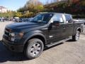 Tuxedo Black Metallic - F150 FX4 SuperCrew 4x4 Photo No. 5