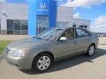 Willow Gray - Sonata GLS Photo No. 1