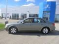 Willow Gray - Sonata GLS Photo No. 2