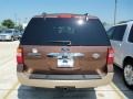 Golden Bronze Metallic - Expedition King Ranch Photo No. 2