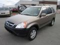 Mojave Mist Metallic - CR-V EX Photo No. 3