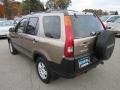 Mojave Mist Metallic - CR-V EX Photo No. 5
