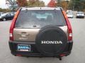 Mojave Mist Metallic - CR-V EX Photo No. 6
