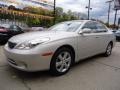 Classic Silver Metallic - ES 330 Photo No. 2