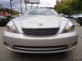 Classic Silver Metallic - ES 330 Photo No. 13