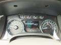 Steel Gray Gauges Photo for 2012 Ford F150 #72496159
