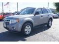 2008 Tungsten Grey Metallic Ford Escape XLT V6  photo #6