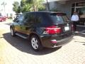 Black Sapphire Metallic - X5 xDrive30i Photo No. 3