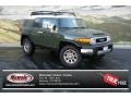 Army Green - FJ Cruiser 4WD Photo No. 1