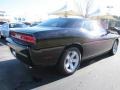 Pitch Black - Challenger SXT Photo No. 3