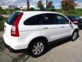 Taffeta White - CR-V EX-L 4WD Photo No. 4